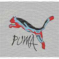 Brand Catalog-ZX 911